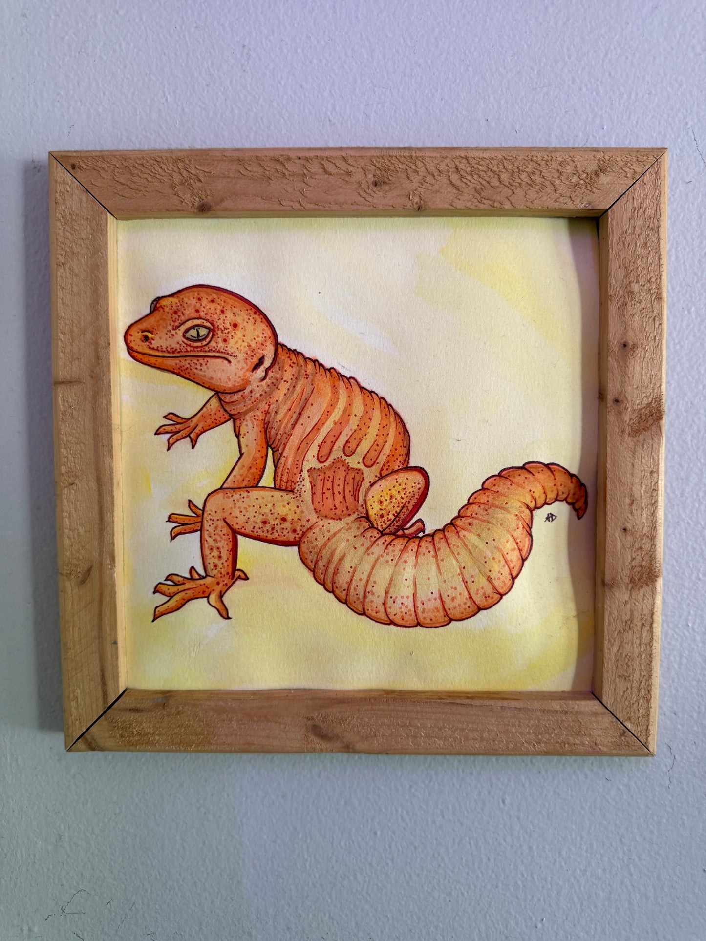 Tangerine Gecko
