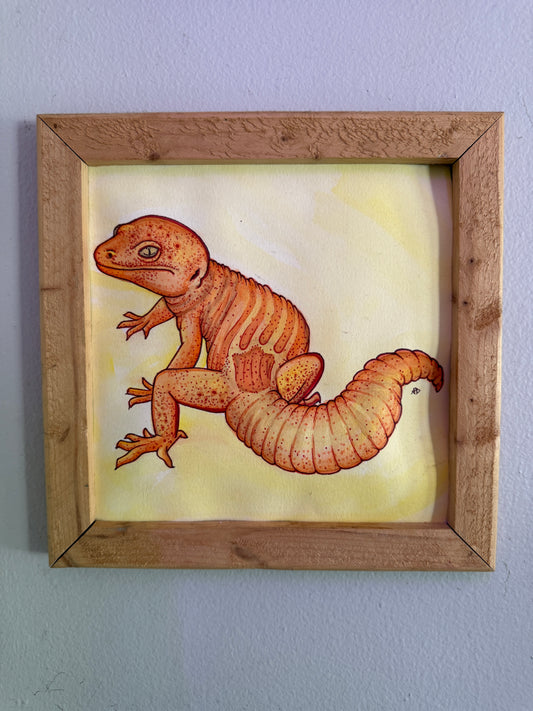 Tangerine Gecko