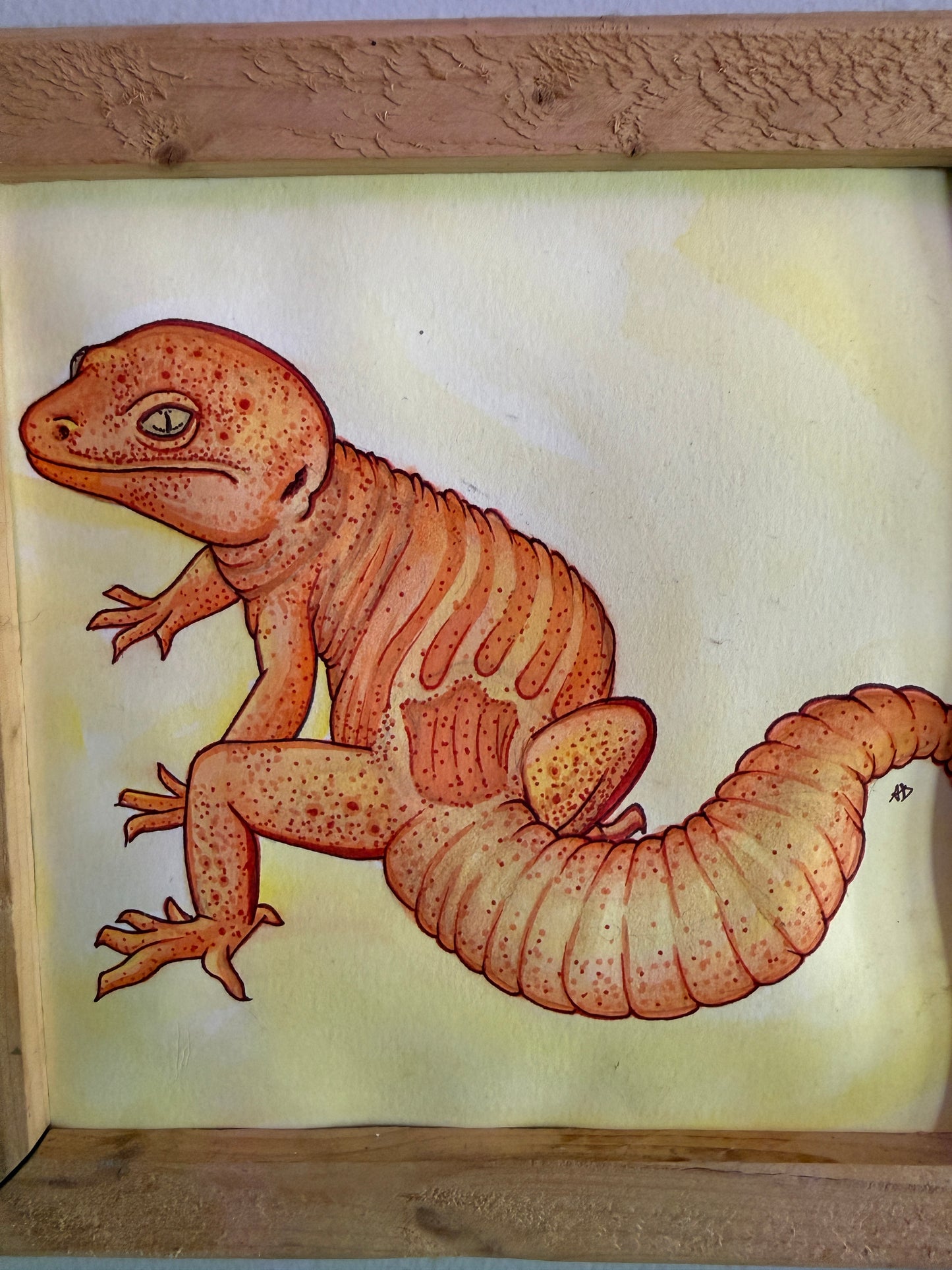 Tangerine Gecko