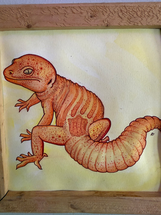 Tangerine Gecko