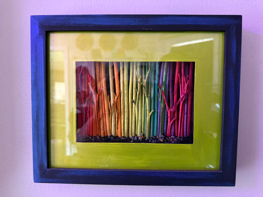 Rainbow Woods